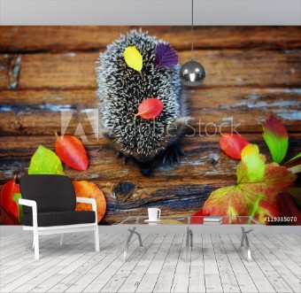 Picture of Hedgehog on the old wooden background in grunge style with autumn leaves rural retro style